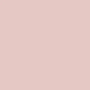 Ballet Pink Matte Tricot Spandex Fabric